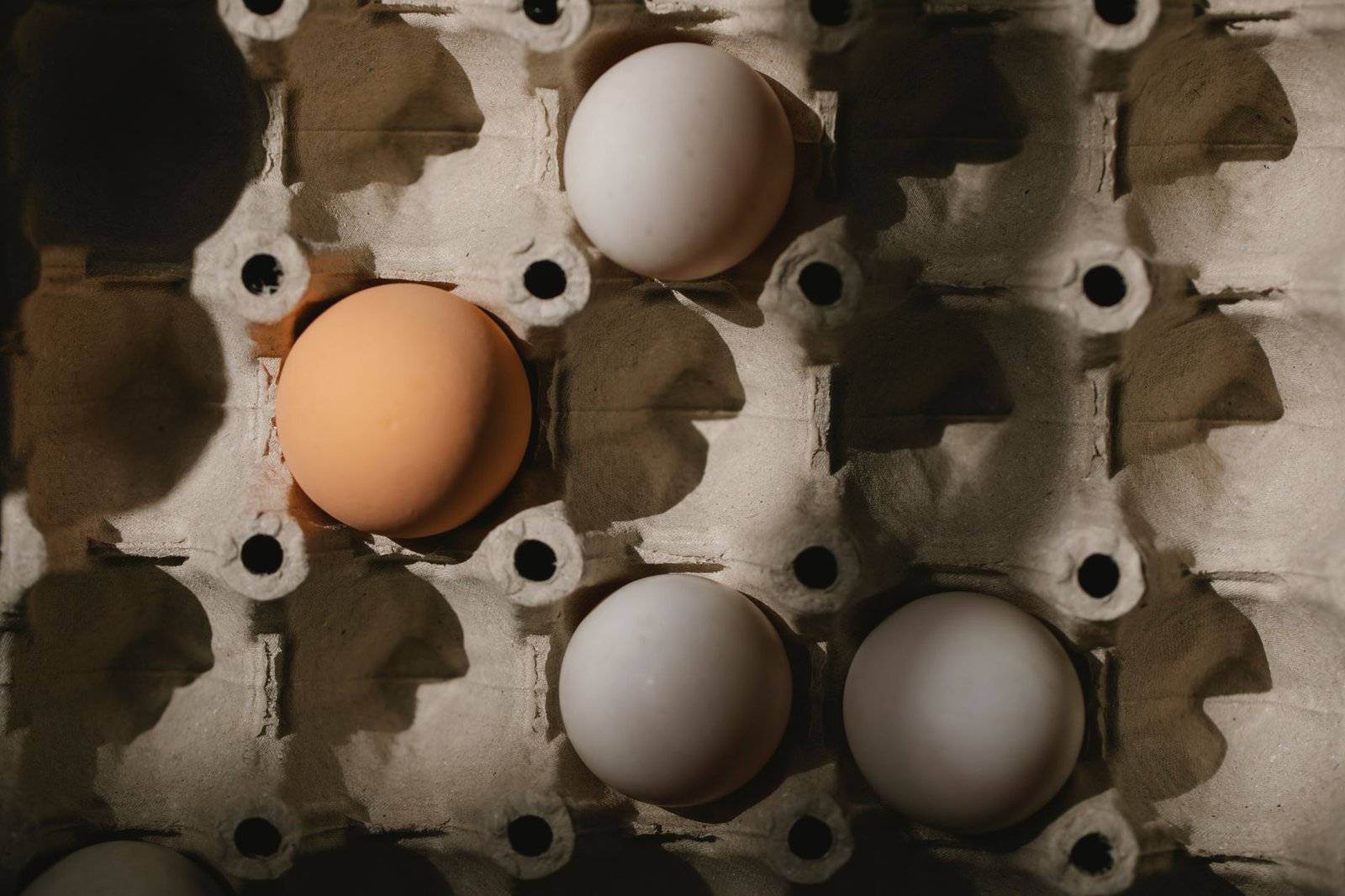 From above of simple carton box with raw fresh white and brown chicken eggs in sunlight